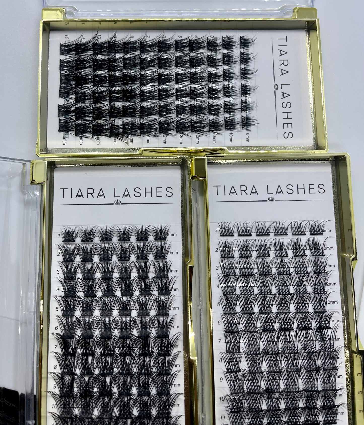 Lash Bundle